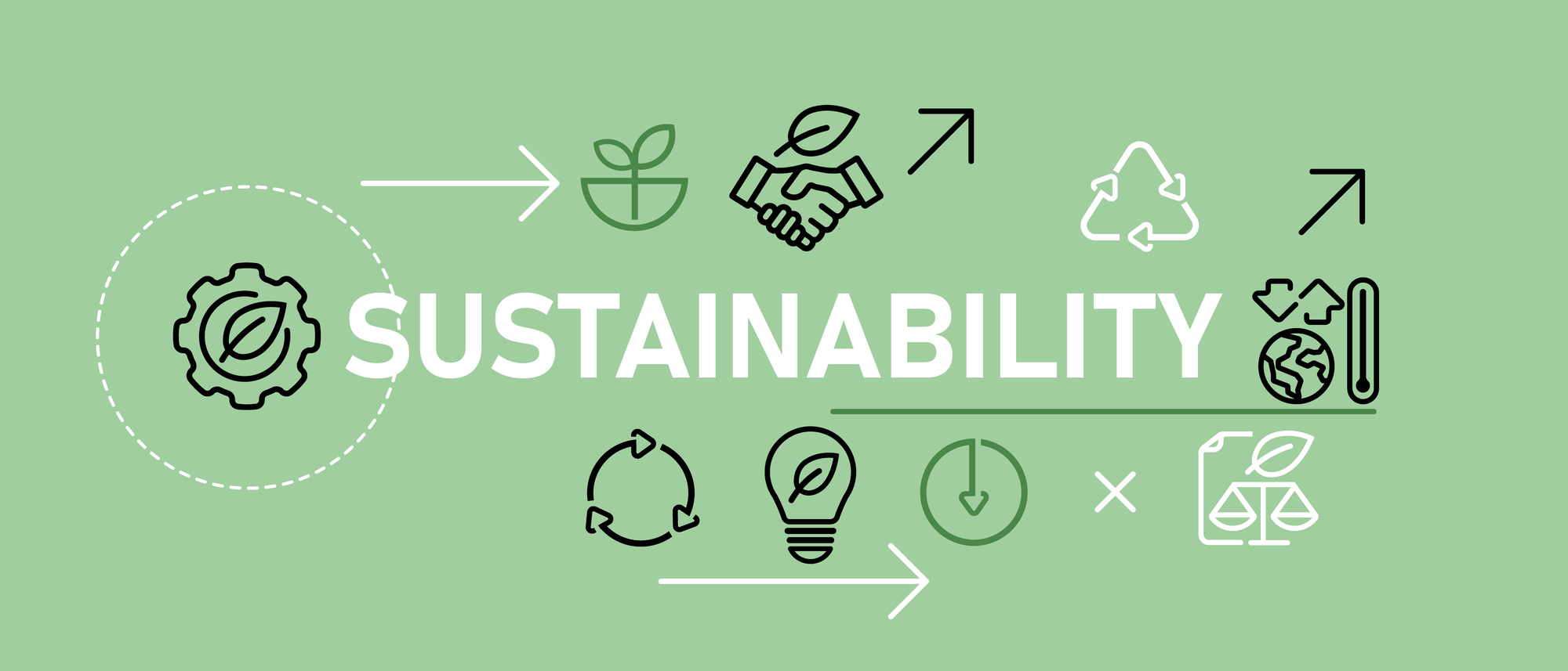 Article - Sustainability at Sanwa: Our Commitment to Environmental Responsibility